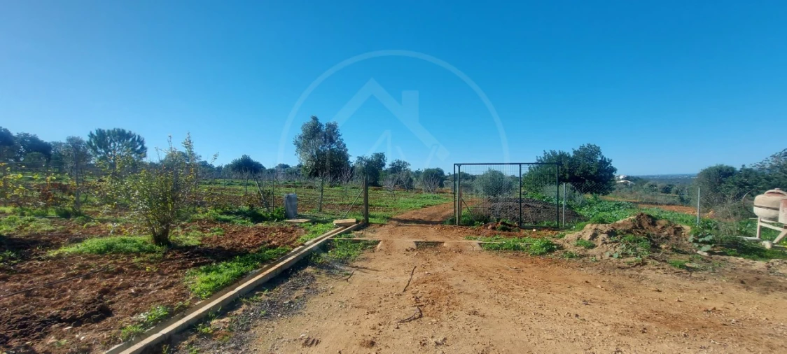 Quinta T9 para Venda em Guia Foto 17