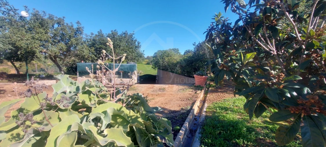 Quinta T9 para Venda em Guia Foto 18