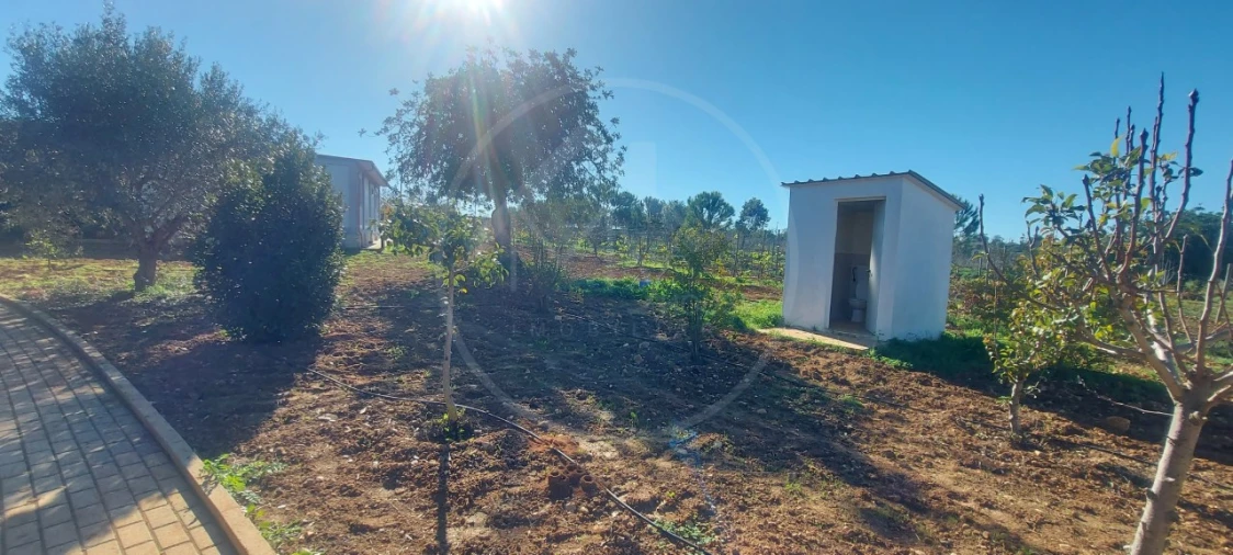 Quinta T9 para Venda em Guia Foto 19