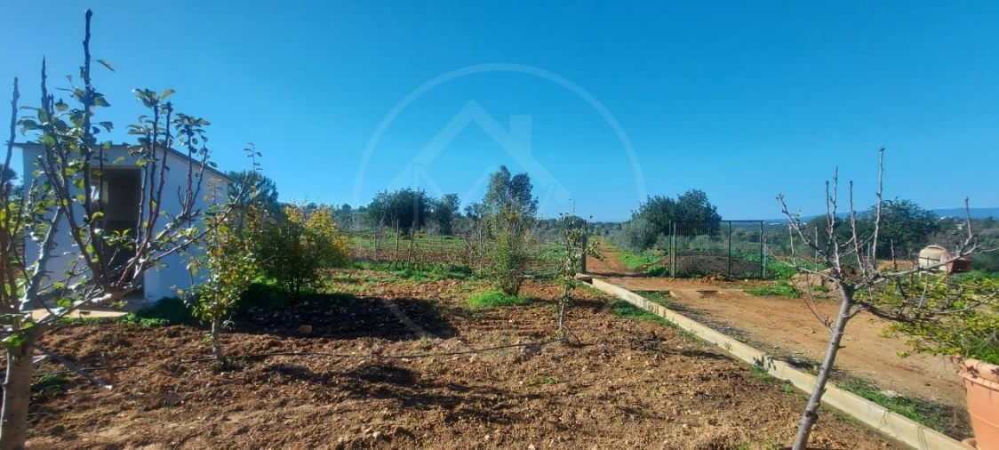 Quinta T9 para Venda em Guia Foto 20