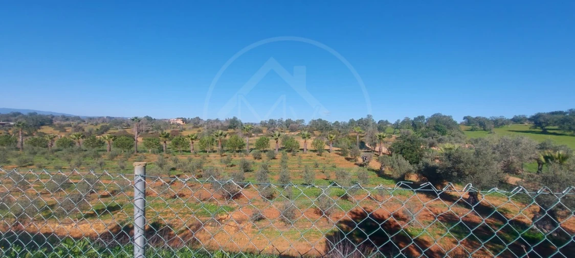 Quinta T9 para Venda em Guia Foto 21