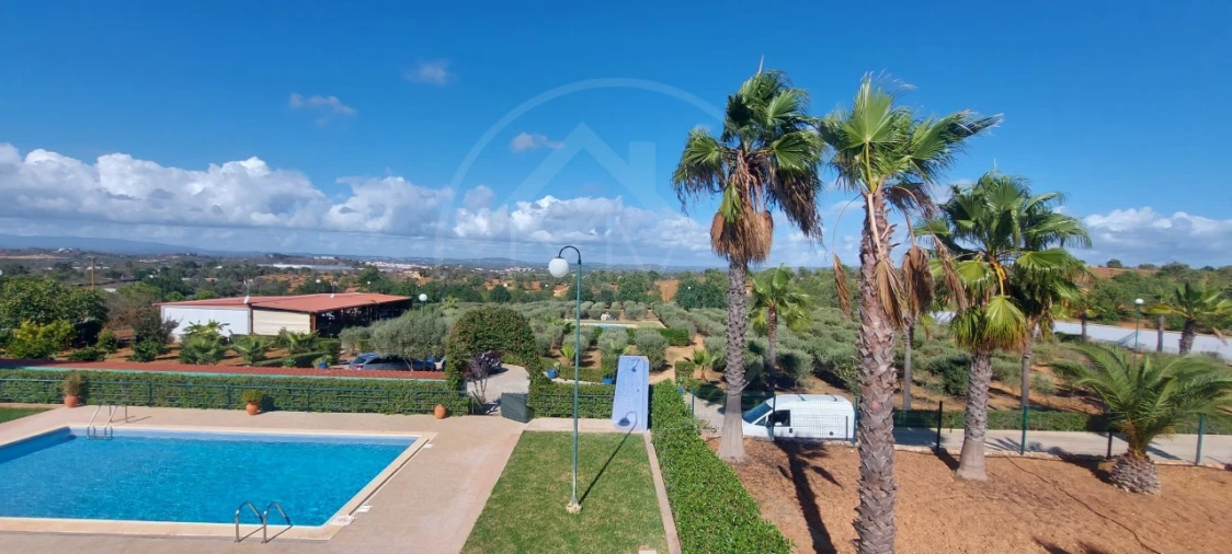 Quinta T9 para Venda em Guia Foto 73