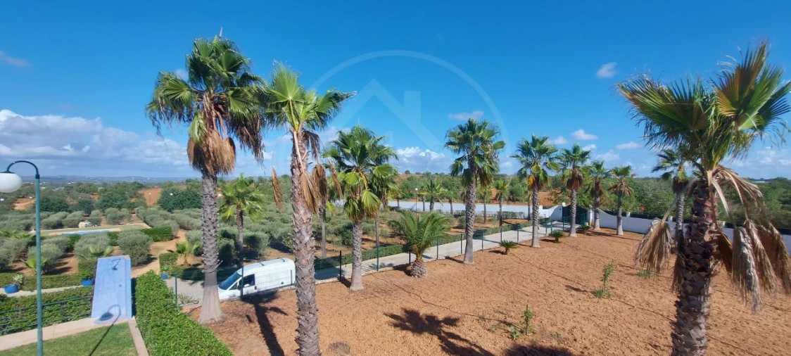 Quinta T9 para Venda em Guia Foto 75