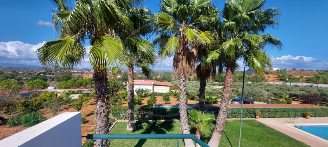 Quinta T9 para Venda em Guia Foto 76