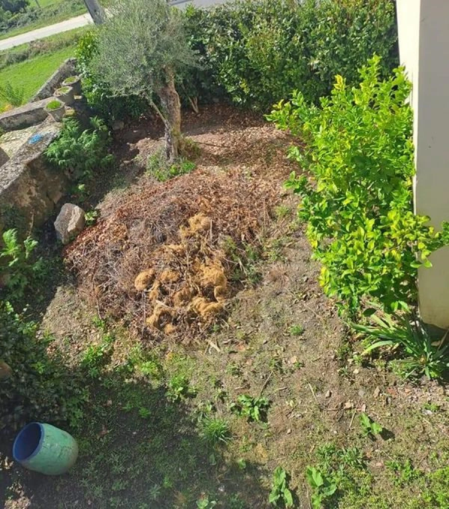 Moradia T5 para Venda em Vila Pouca de Aguiar Foto 6