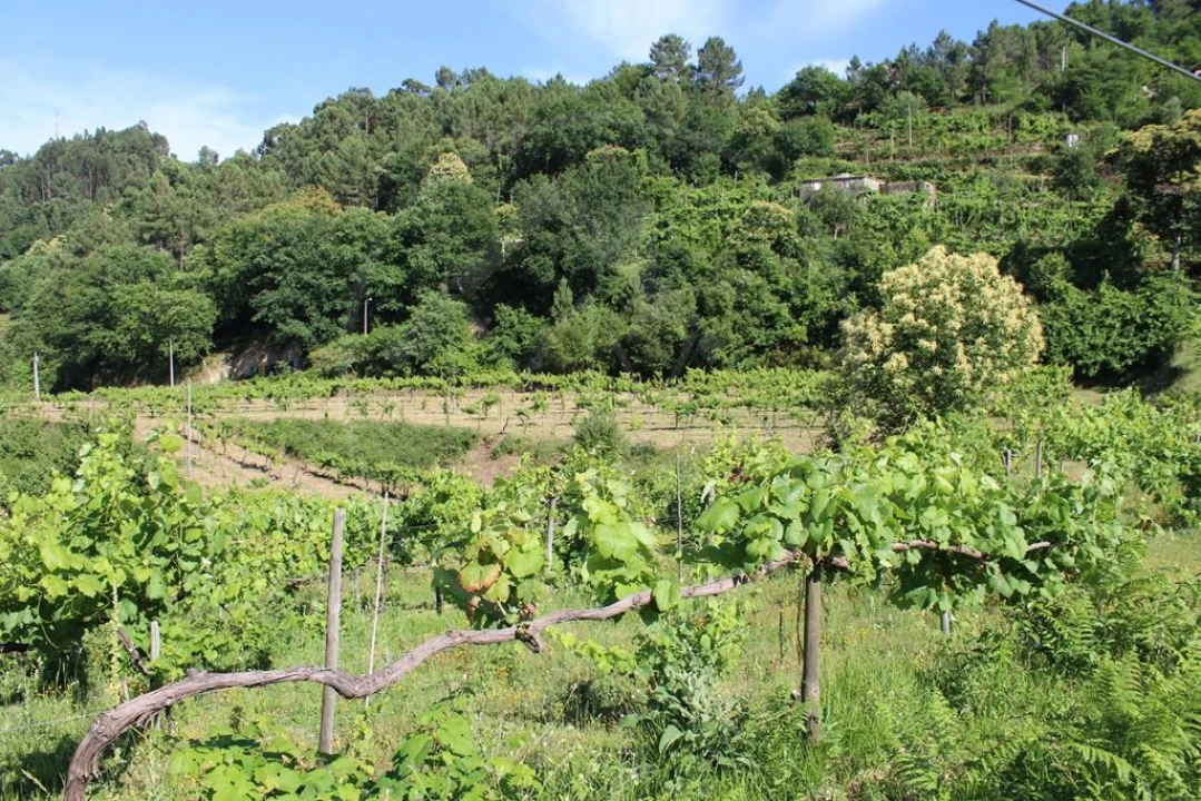 Moradia para Venda em Cavez Foto 37