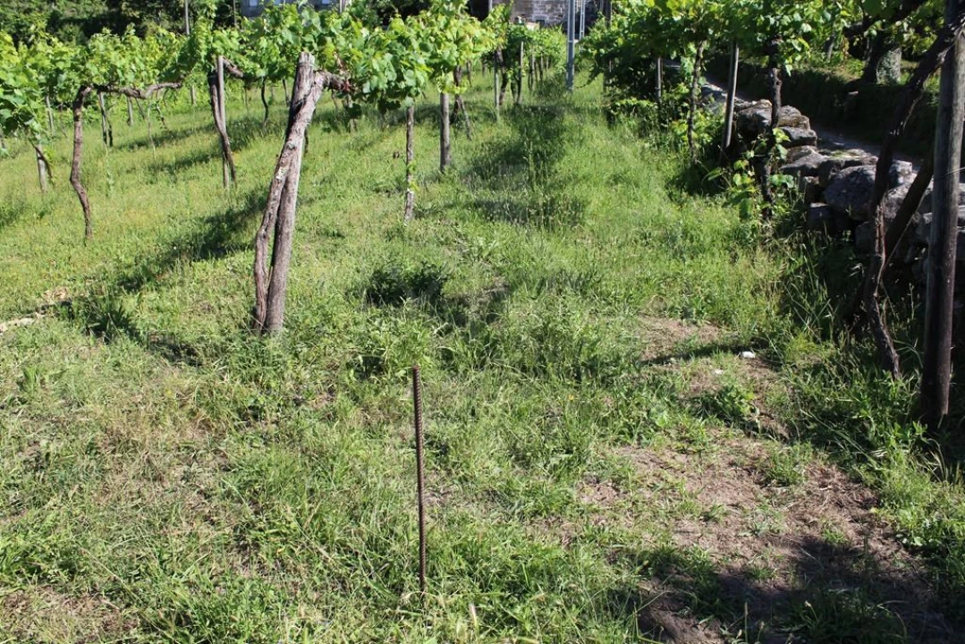 Moradia para Venda em Cavez Foto 38