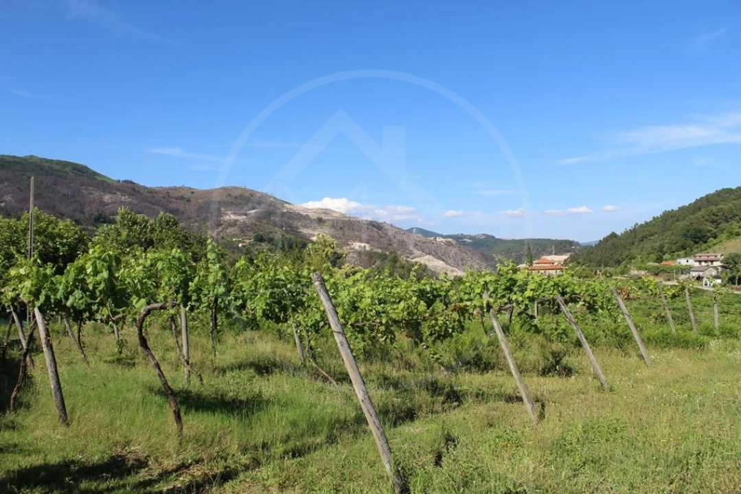 Moradia para Venda em Cavez Foto 39