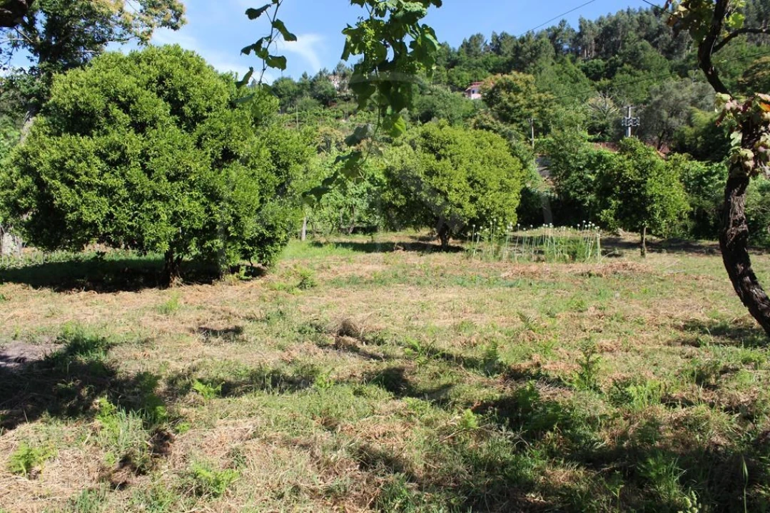 Moradia para Venda em Cavez Foto 40