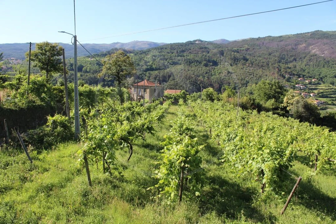 Moradia para Venda em Cavez Foto 46