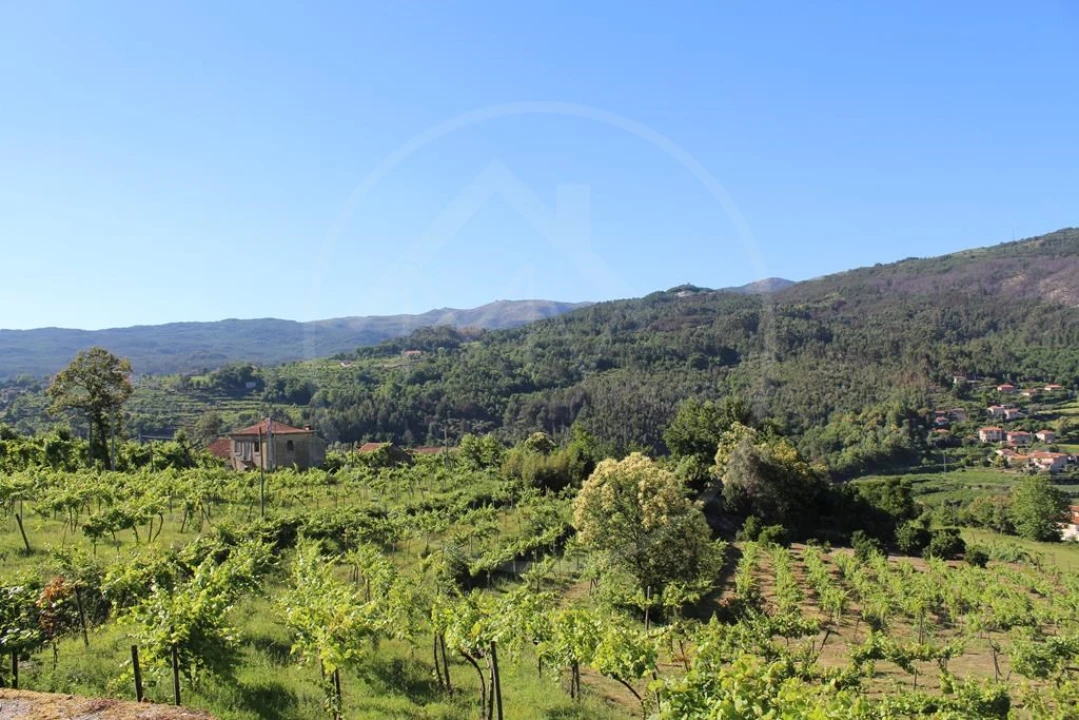 Moradia para Venda em Cavez Foto 47