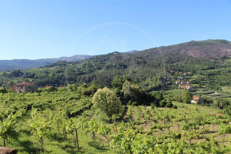 Moradia para Venda em Cavez Foto 48