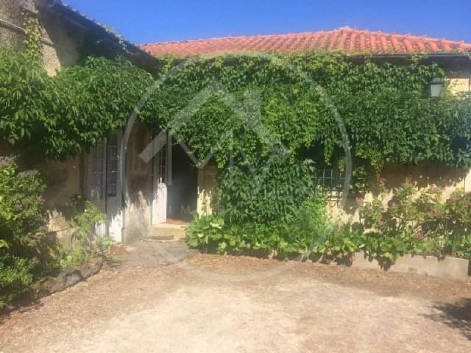 Quinta T5 para Venda em Vilar do Torno e Alentem Foto 7