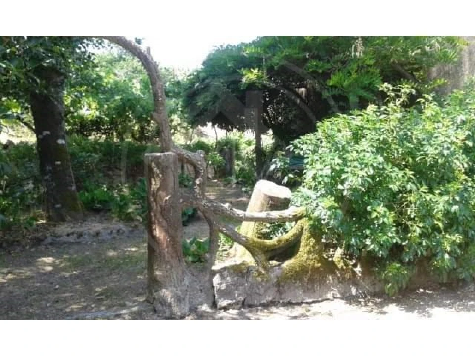 Quinta T5 para Venda em Vilar do Torno e Alentem Foto 9