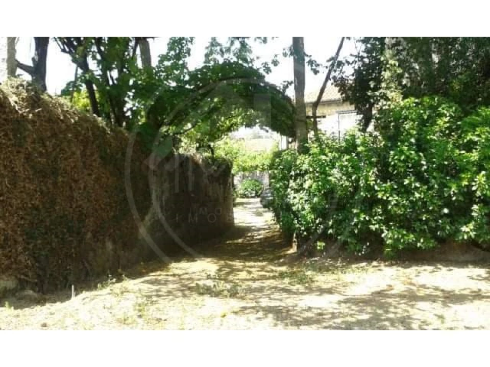 Quinta T5 para Venda em Vilar do Torno e Alentem Foto 10