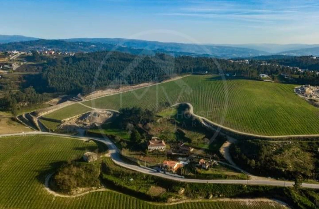 Quinta T5 para Venda em Vilar do Torno e Alentem Foto 2