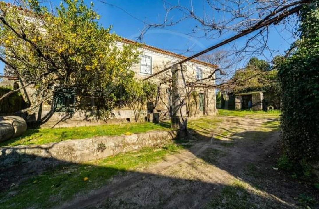 Quinta T5 para Venda em Vilar do Torno e Alentem Foto 13