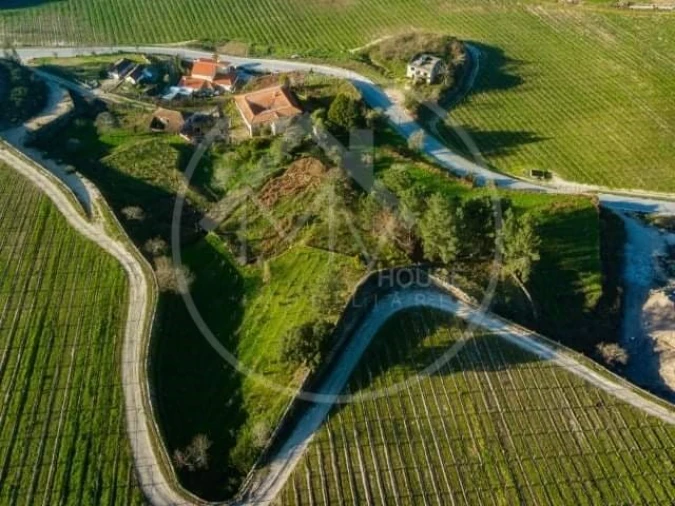 Quinta T5 para Venda em Vilar do Torno e Alentem Foto 17