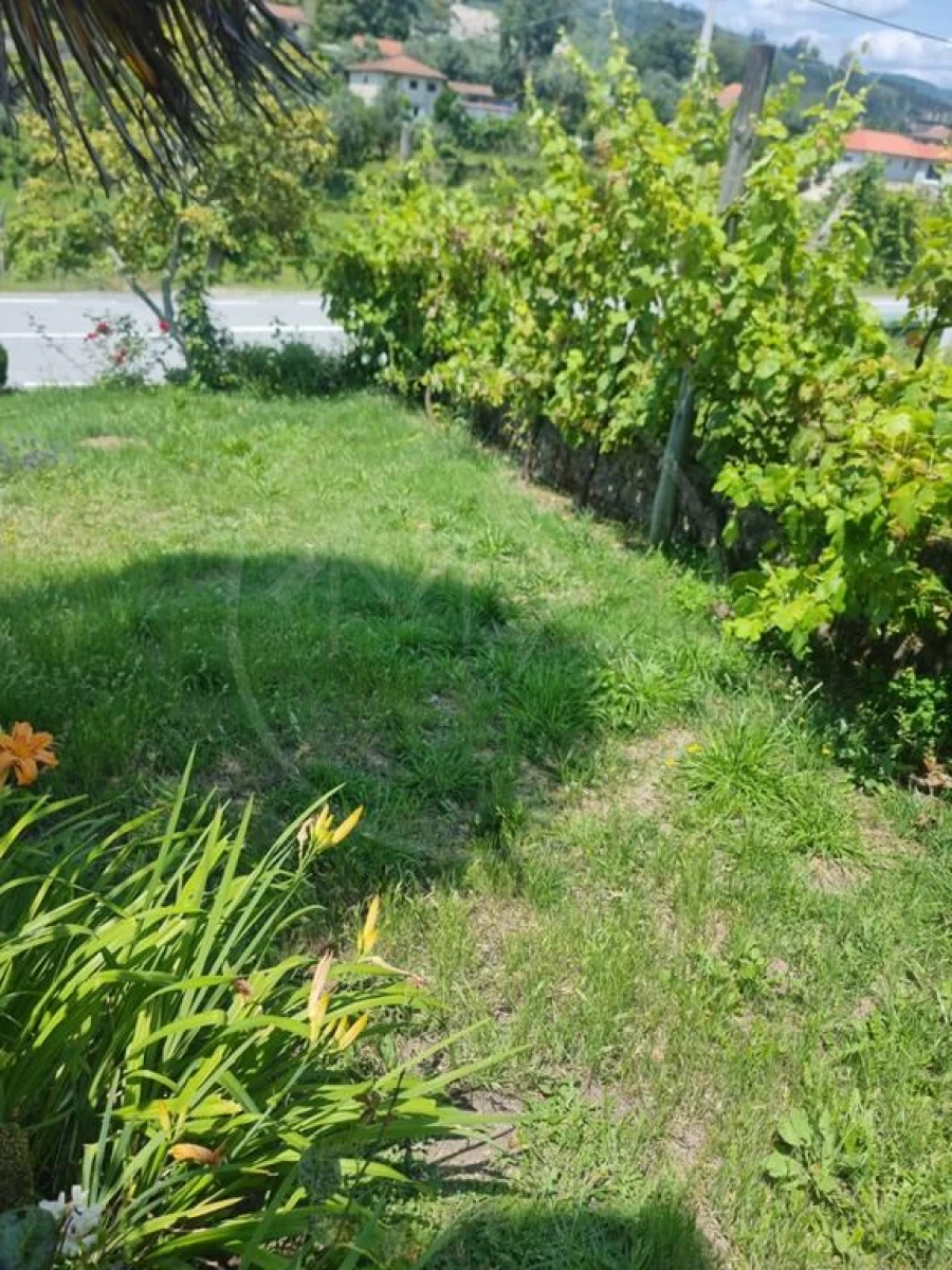 Moradia T3 para Venda em Salvador e Santo Aleixo de Além-Tâmega Foto 5