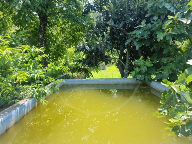 Moradia T3 para Venda em Salvador e Santo Aleixo de Além-Tâmega Foto 14