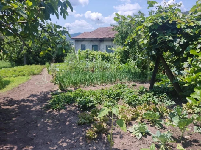 Moradia T6 para Venda em Salvador e Santo Aleixo de Além-Tâmega Foto 5
