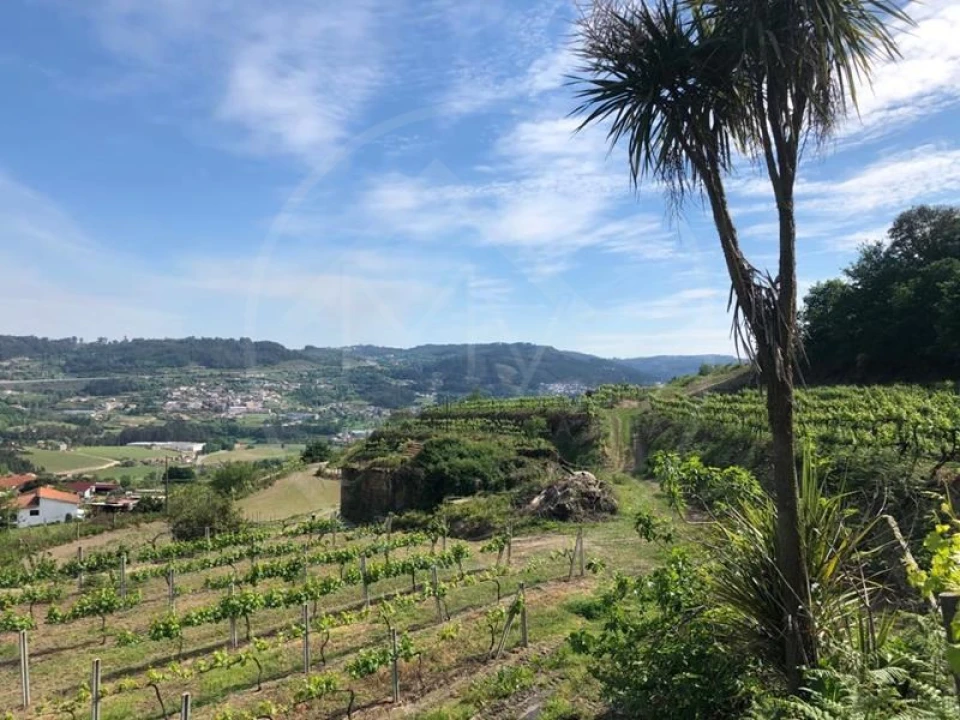 Quinta T3 para Venda em Tabuadelo e São Faustino Foto 7