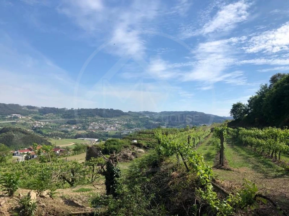 Quinta T3 para Venda em Tabuadelo e São Faustino Foto 8