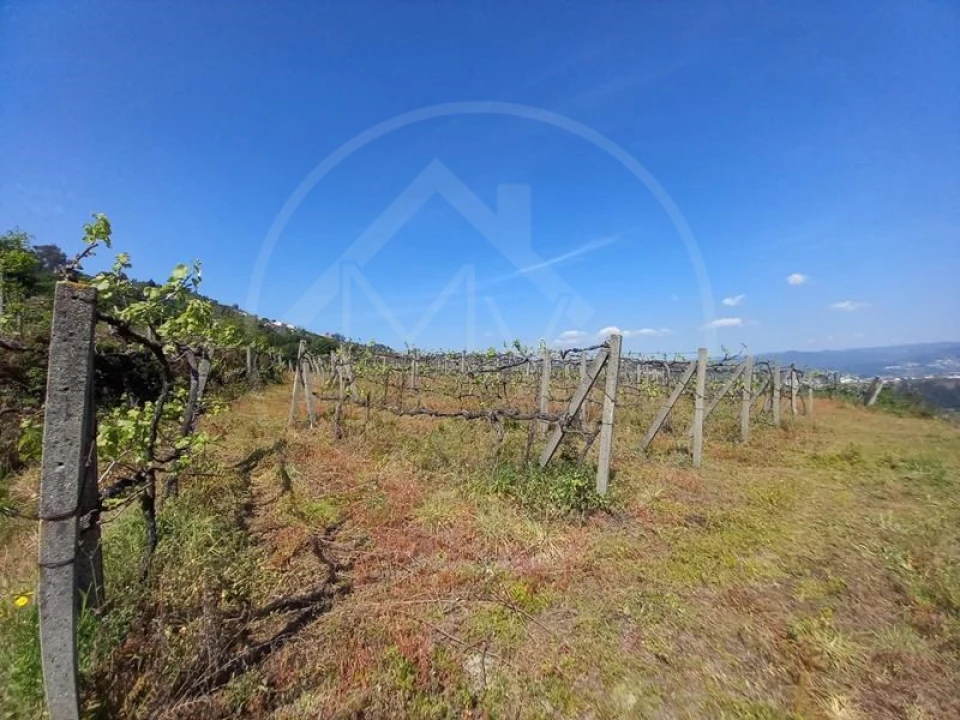 Quinta T3 para Venda em Tabuadelo e São Faustino Foto 16