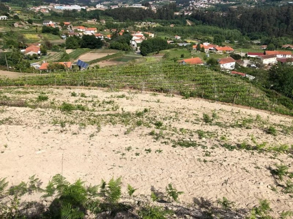 Quinta T3 para Venda em Tabuadelo e São Faustino Foto 22