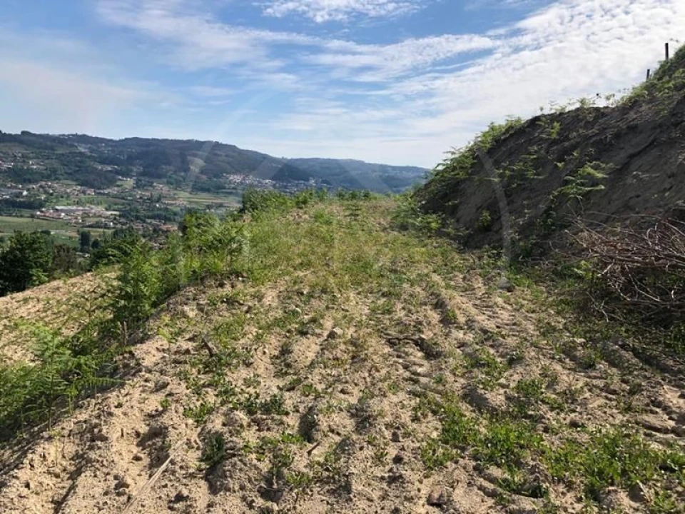 Quinta T3 para Venda em Tabuadelo e São Faustino Foto 24