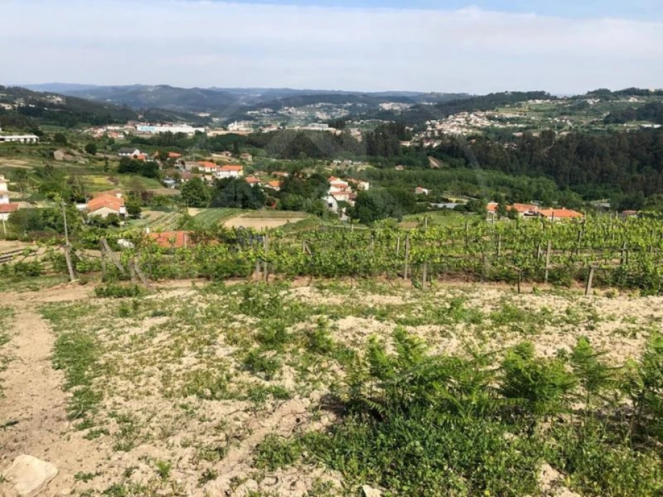 Quinta T3 para Venda em Tabuadelo e São Faustino Foto 26