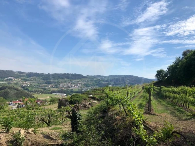 Quinta T3 para Venda em Tabuadelo e São Faustino Foto 8