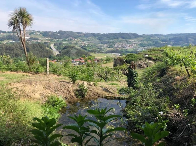 Quinta T3 para Venda em Tabuadelo e São Faustino Foto 9