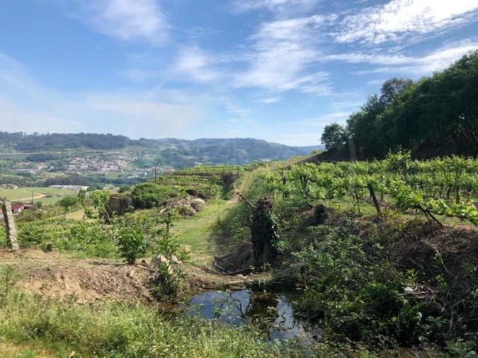Quinta T3 para Venda em Tabuadelo e São Faustino Foto 13