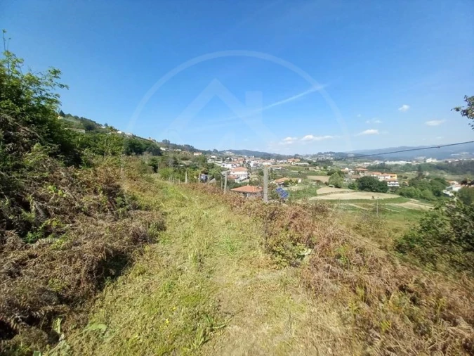 Quinta T3 para Venda em Tabuadelo e São Faustino Foto 14