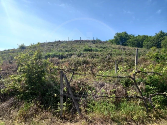 Quinta T3 para Venda em Tabuadelo e São Faustino Foto 17