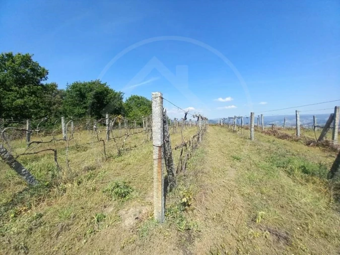 Quinta T3 para Venda em Tabuadelo e São Faustino Foto 19