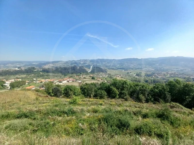Quinta T3 para Venda em Tabuadelo e São Faustino Foto 21