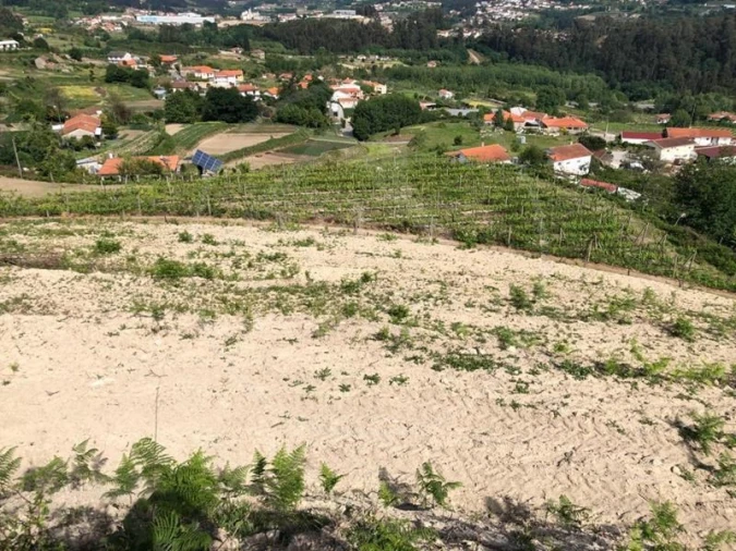 Quinta T3 para Venda em Tabuadelo e São Faustino Foto 22