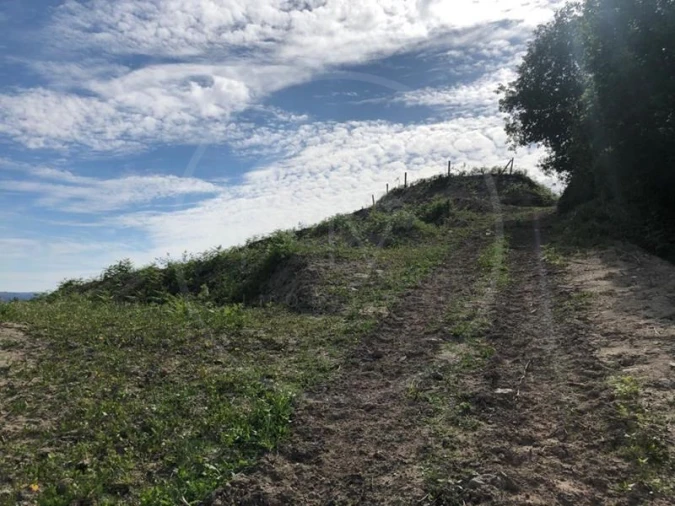Quinta T3 para Venda em Tabuadelo e São Faustino Foto 27