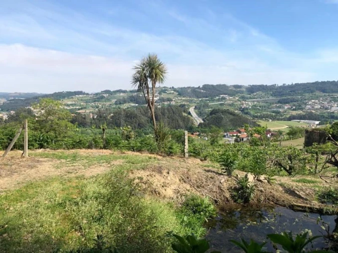 Quinta T3 para Venda em Tabuadelo e São Faustino Foto 30