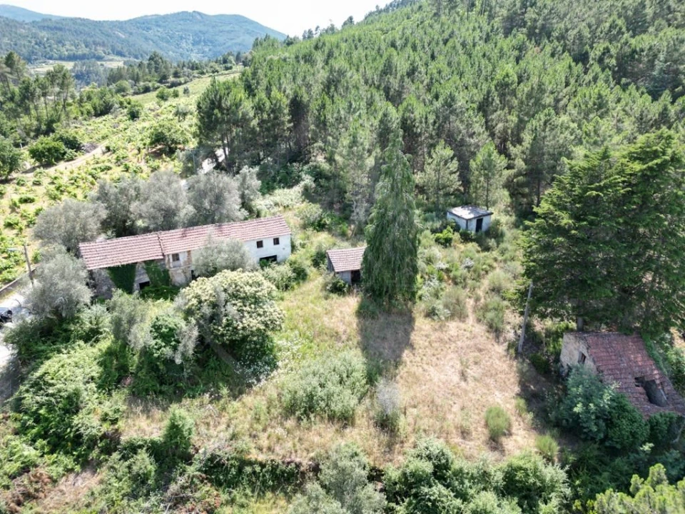 Quinta para Venda em Pinho Foto 2