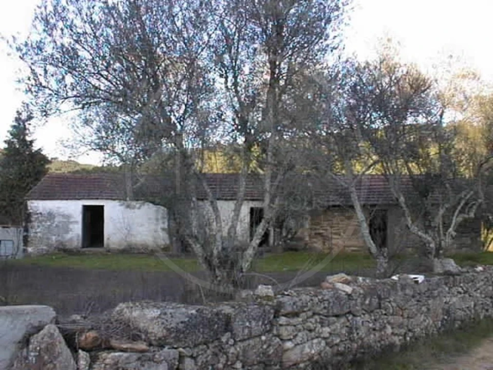 Quinta para Venda em Pinho Foto 11