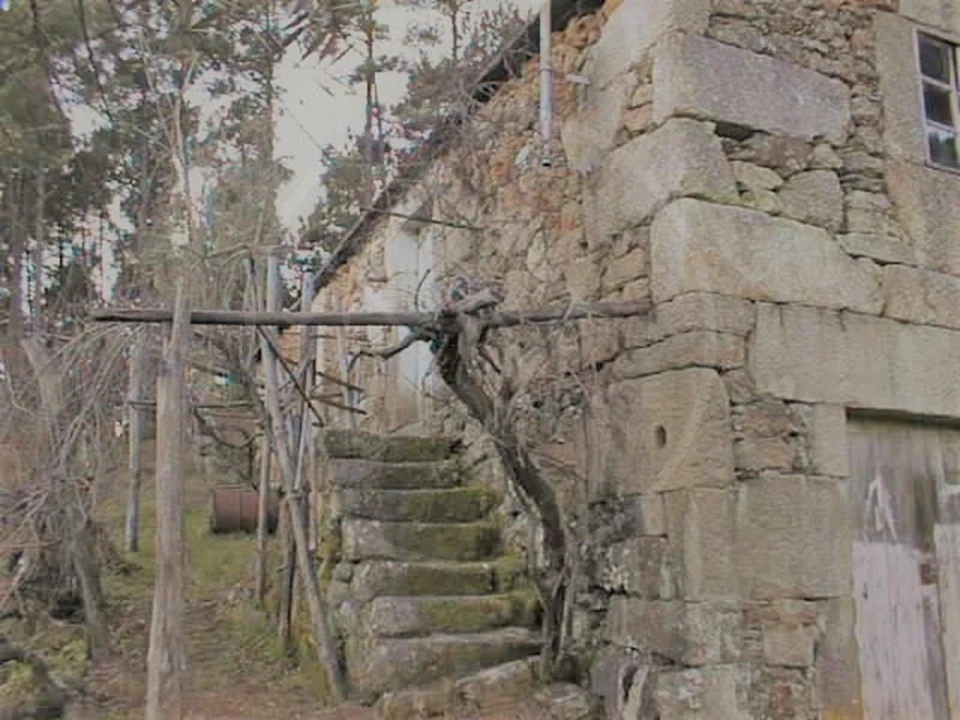 Quinta para Venda em Pinho Foto 14