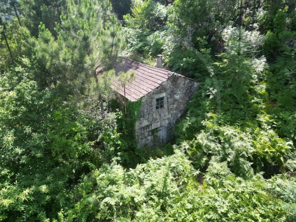 Quinta para Venda em Pinho Foto 15