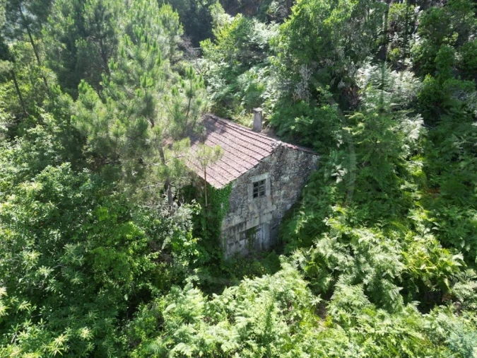 Quinta para Venda em Pinho Foto 6