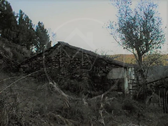 Quinta para Venda em Pinho Foto 10