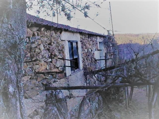 Quinta para Venda em Pinho Foto 12