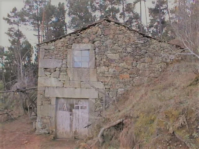 Quinta para Venda em Pinho Foto 13