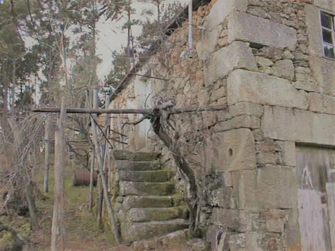 Quinta para Venda em Pinho Foto 14